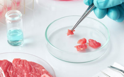 Dudas y riesgos sobre la carne sintética