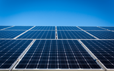 En Avecox apostamos por las energías renovables con la instalación de 715 placas solares